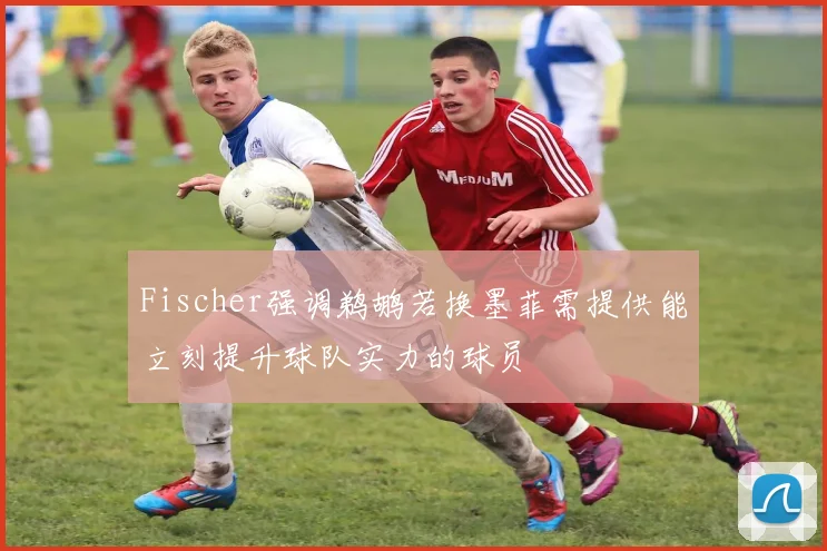 Fischer强调鹈鹕若换墨菲需提供能立刻提升球队实力的球员